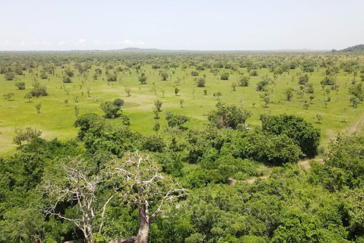 Safari sulle colline sciite e tour di un giorno in barca Akosombo — 9