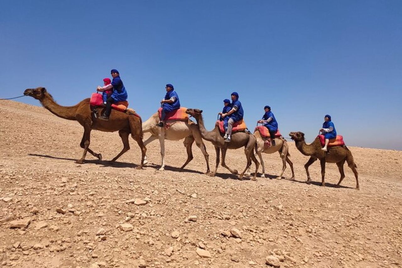 Giro in cammello nell'oasi Desert Marrakech — 8