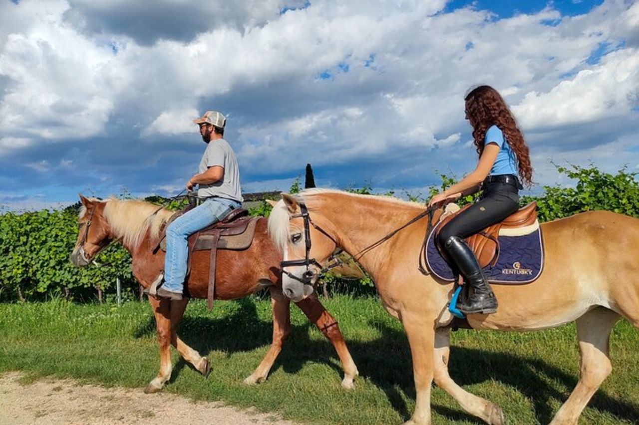 Passeggiate a cavallo con degustazione di vini nei vigneti del Lago di Garda — 8