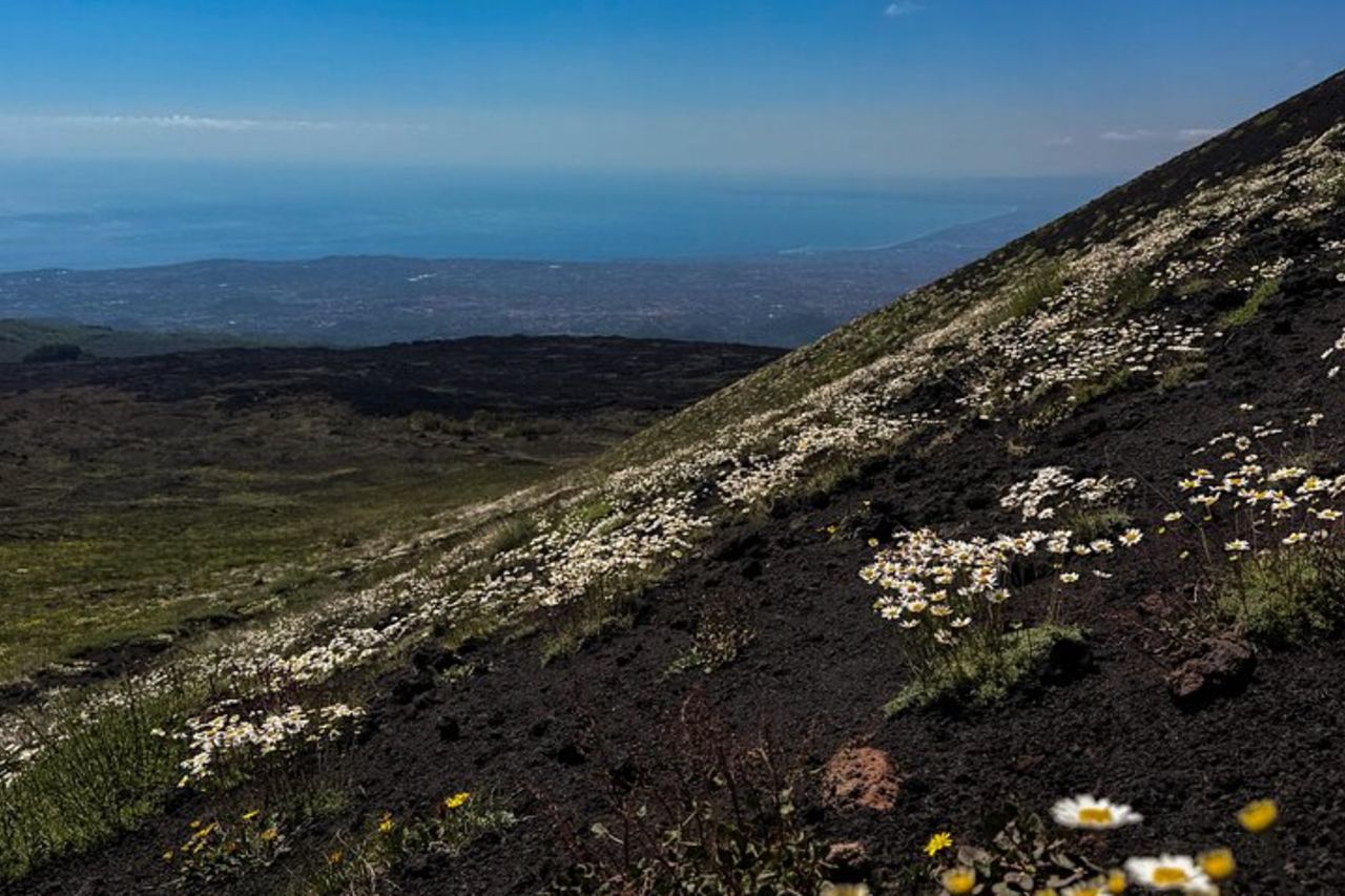 Catania : tour mattutino in jeep dell'Etna e delle grotte di lava