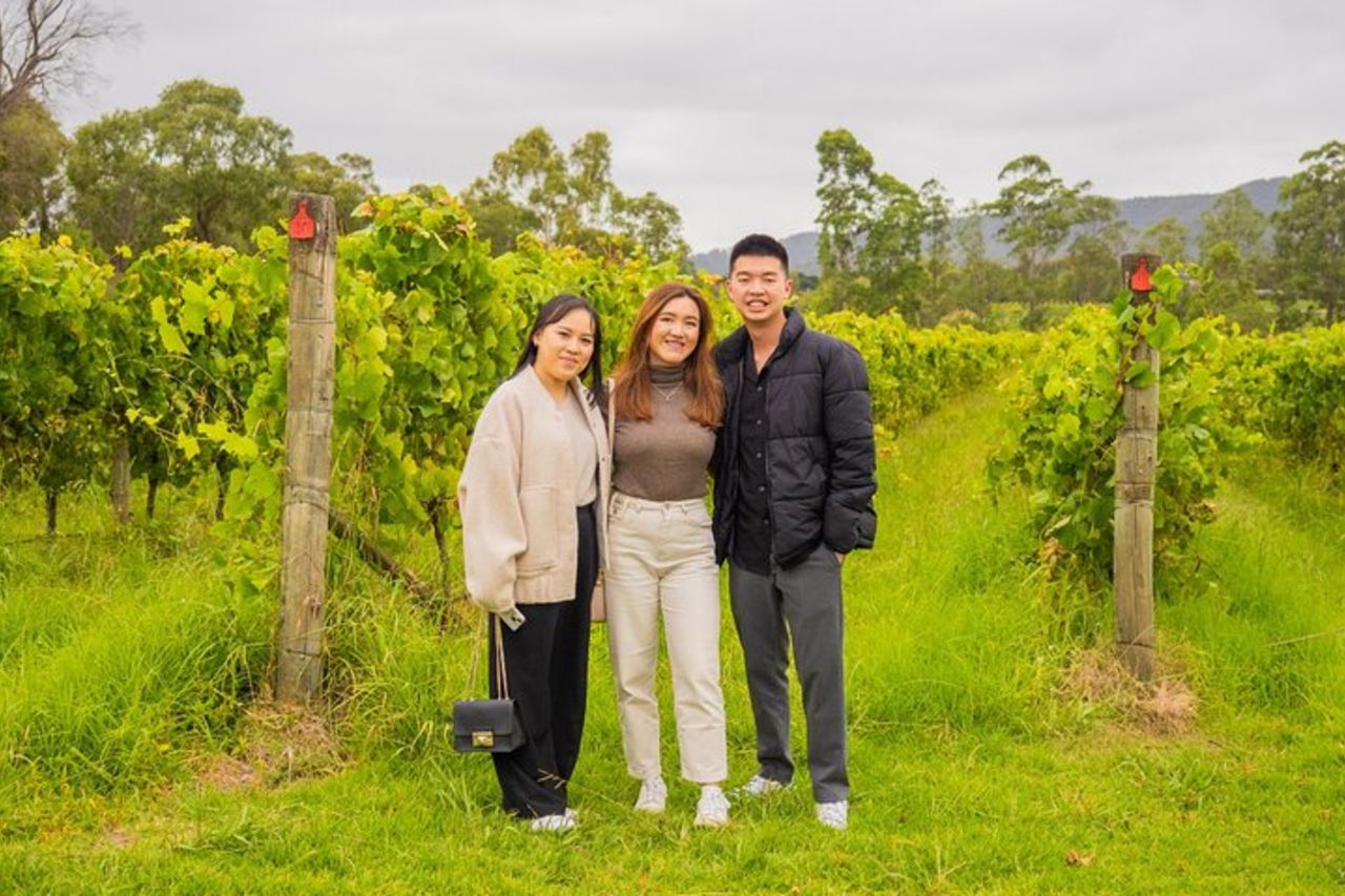 Yarra Valley Grazing Tour Vino, formaggio, gin, pizza da Melbourne — 6