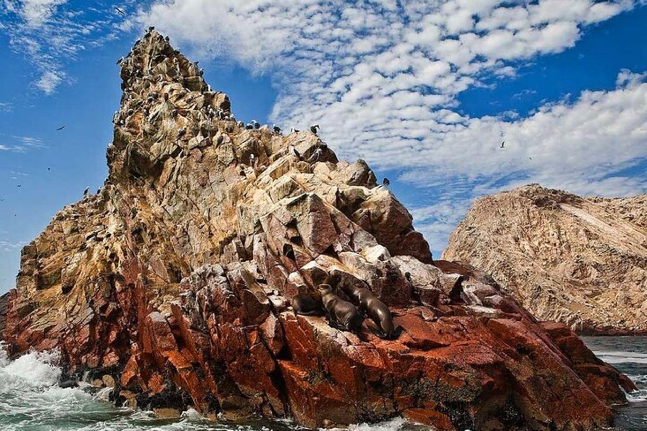 Lima : Riserva di Paracas, tunnel degli schiavi e isole Ballestas Giornata intera — 2