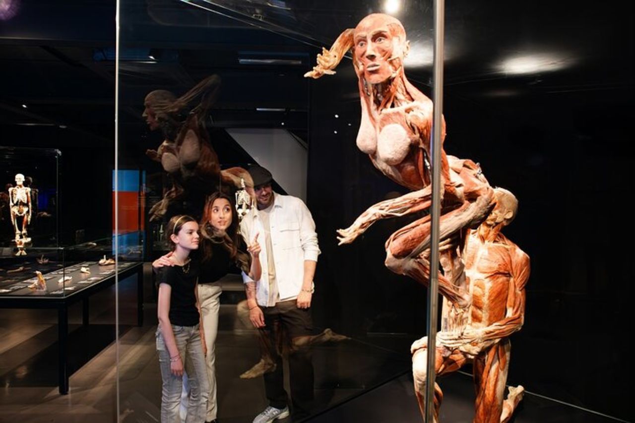 Body Worlds Amsterdam Biglietto d'ingresso — 6