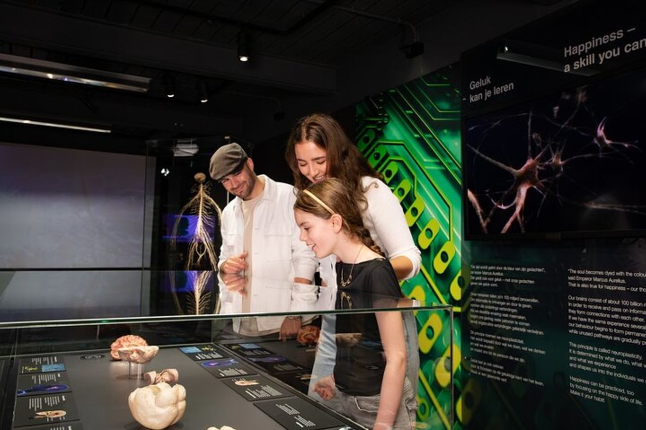 Body Worlds Amsterdam Biglietto d'ingresso — 3