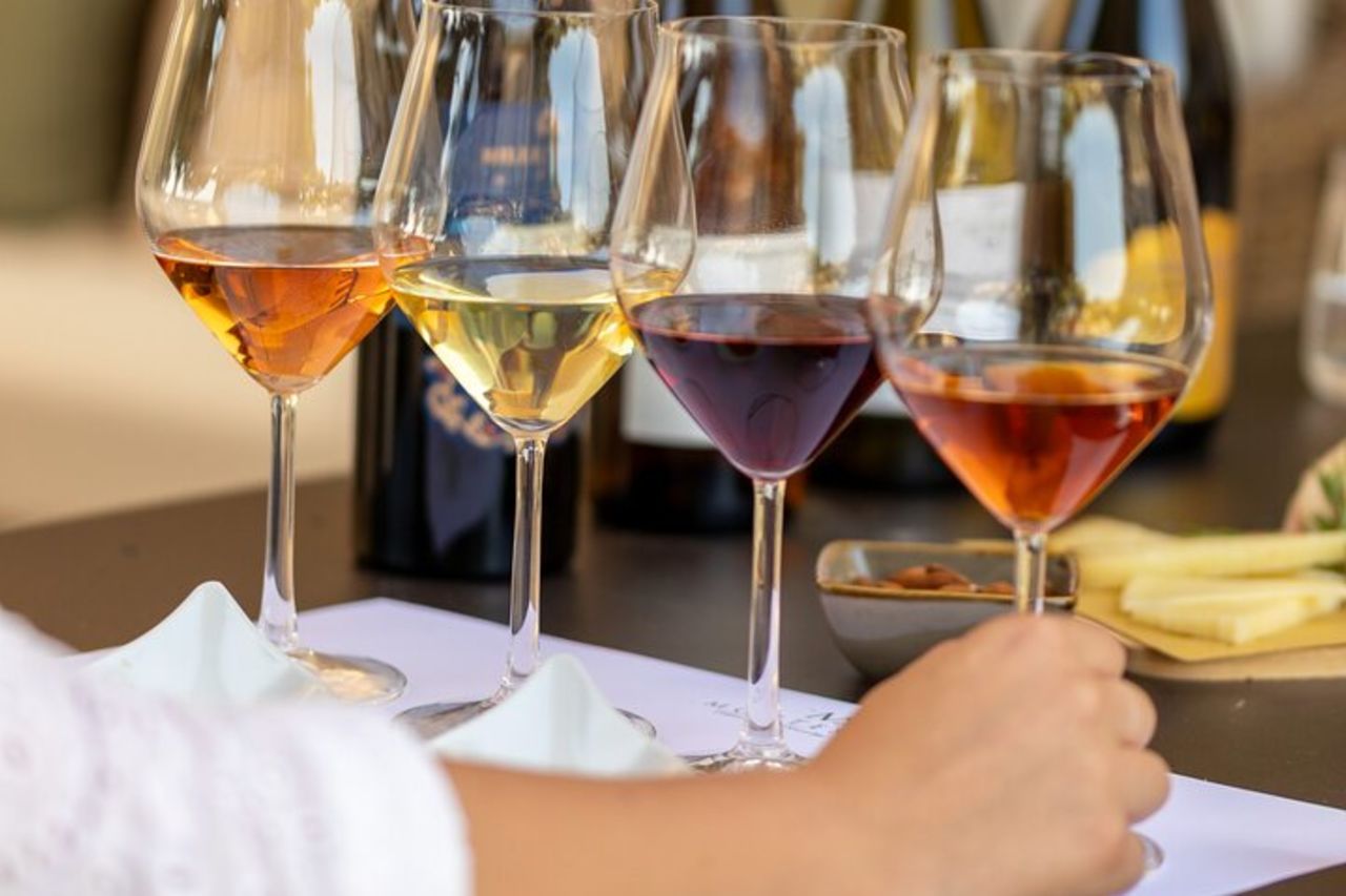 Degustazione guidata di vini siciliani vicino Agrigento — 4