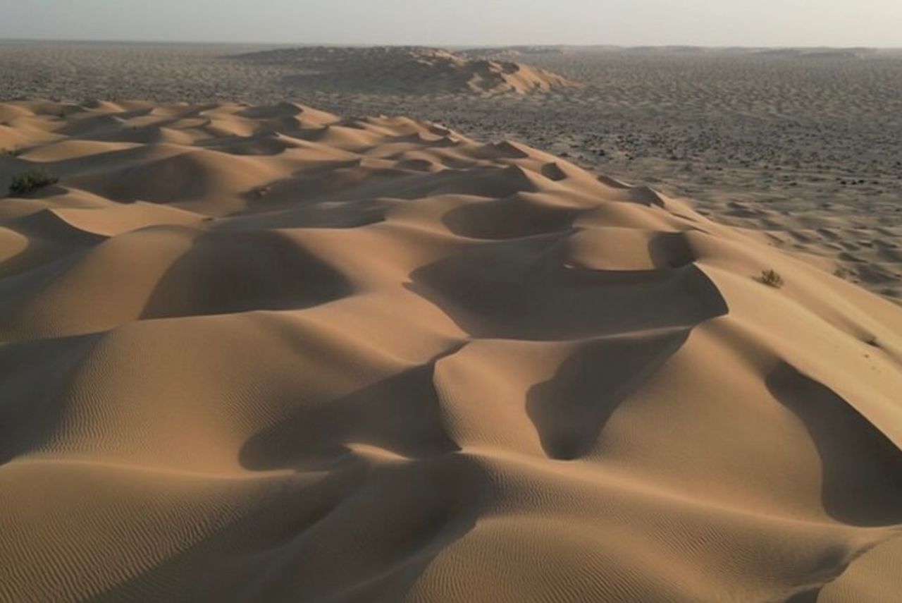 Safari nel deserto al tramonto con cena in campo tendato (tour privato) — 8