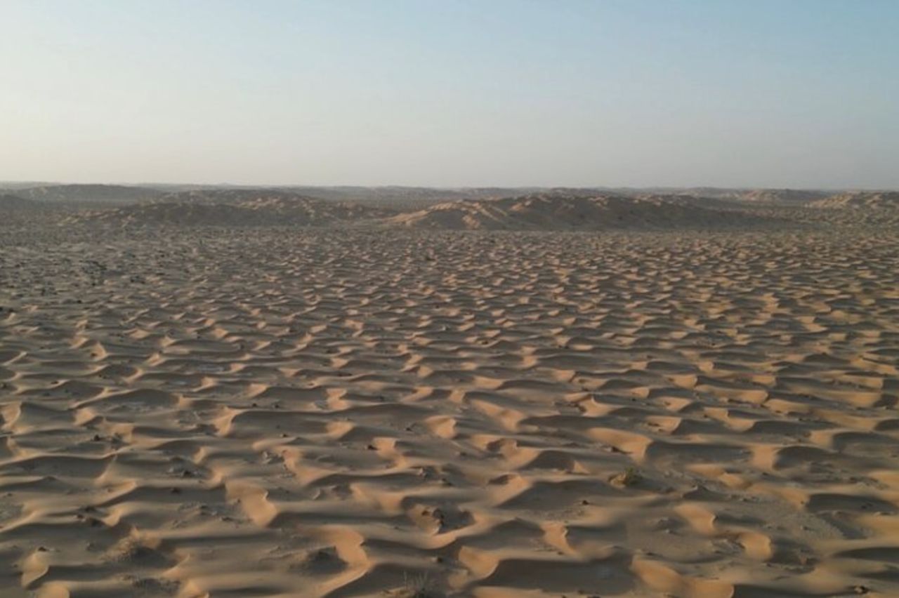 Safari nel deserto al tramonto con cena in campo tendato (tour privato) — 9