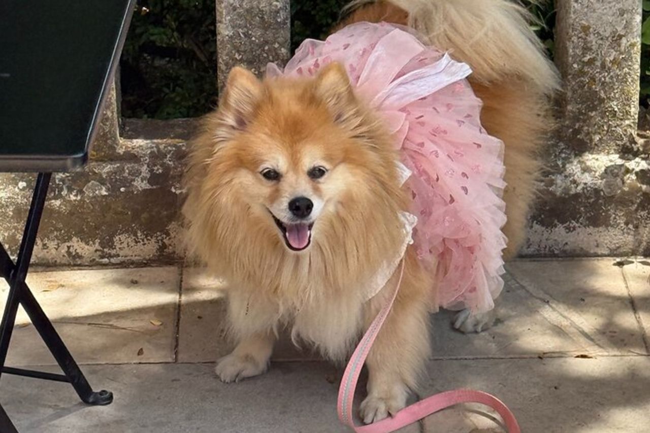 Tour a piedi all'antica città dell'amore Erice — 7