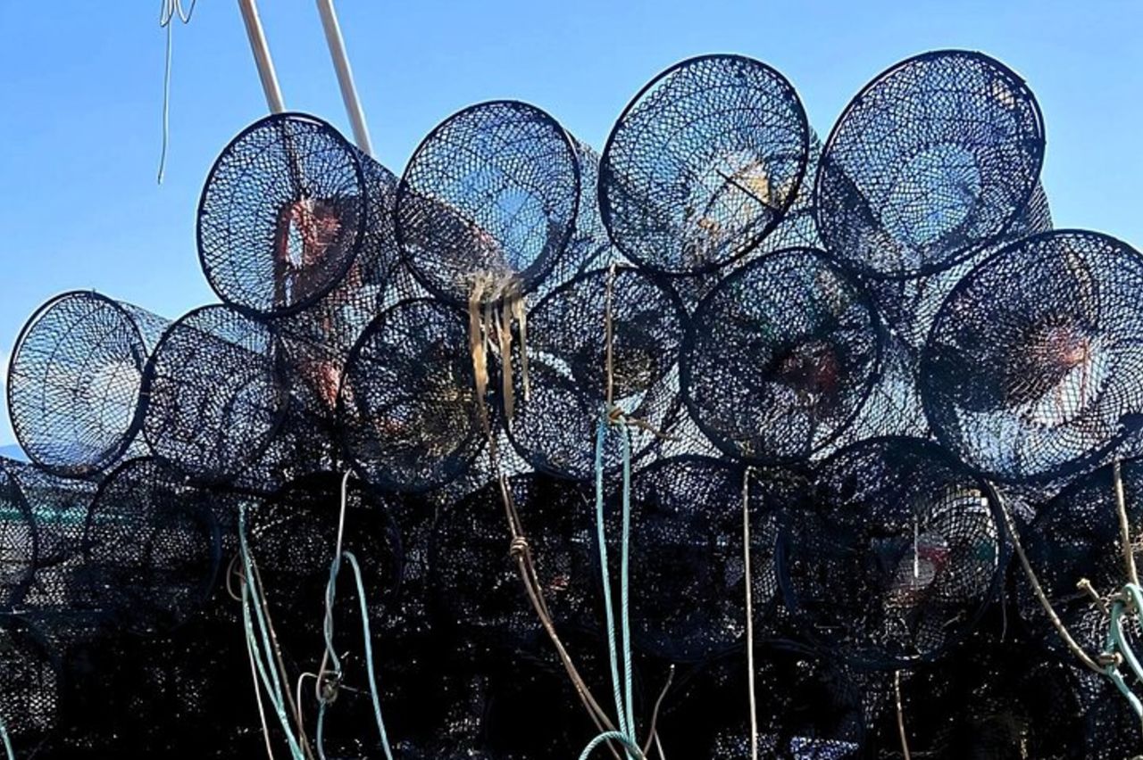 Da Stintino Tour in barca da pesca nel Parco dell'Asinara — 2
