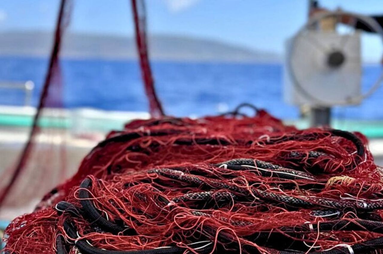 Da Stintino Tour in barca da pesca nel Parco dell'Asinara — 5