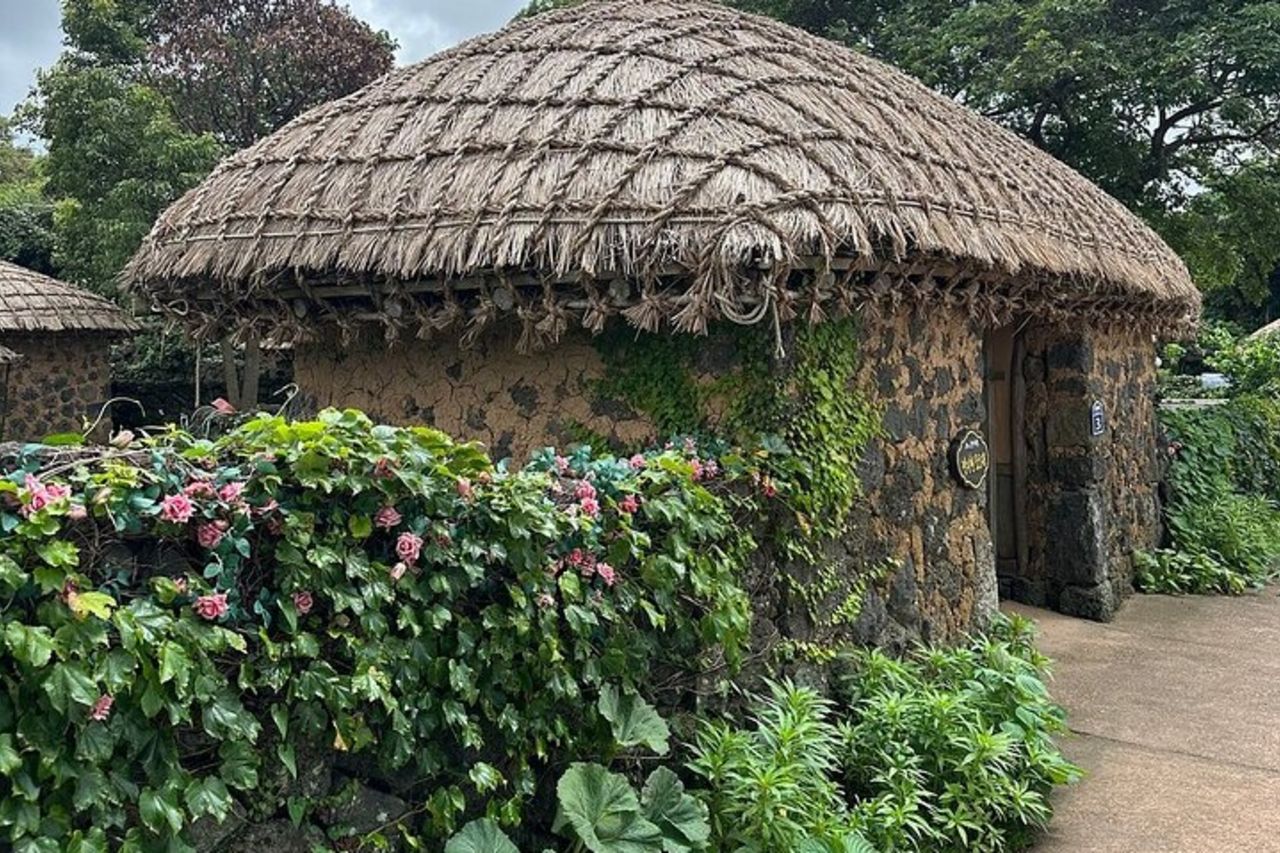 Tour di un giorno dei siti UNESCO orientali di Jeju — 6