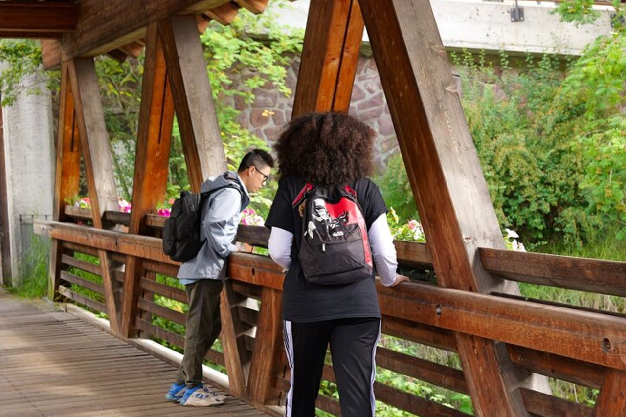 Tour di un giorno delle Dolomiti dal Lago di Garda — 6