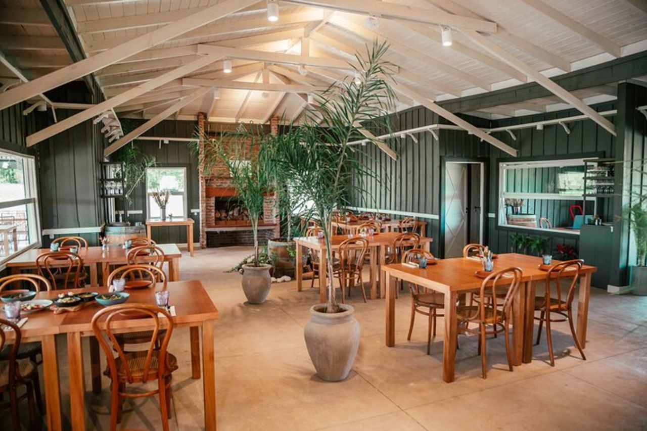 Tour di degustazione di vini per piccoli gruppi di Bodega Gamboa con pranzo — 6