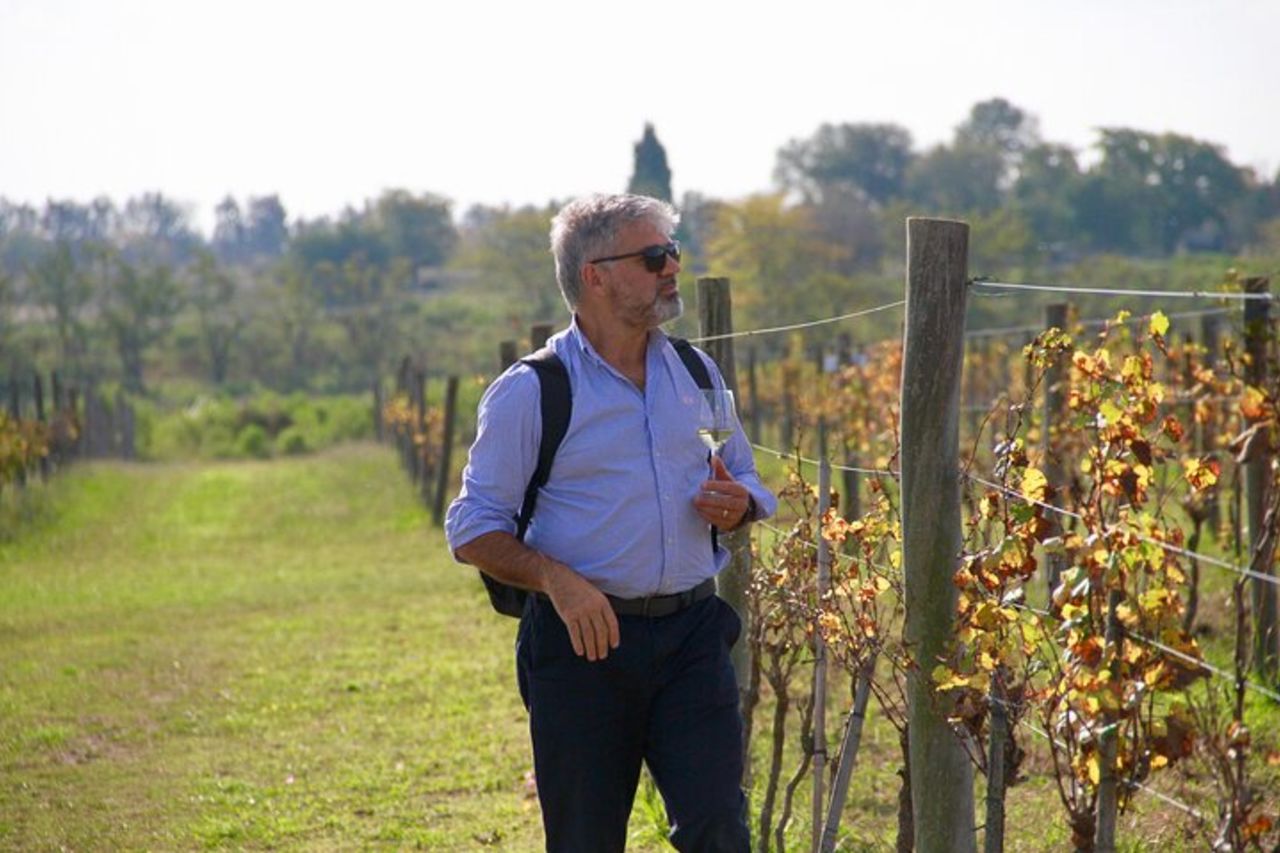 Tour di degustazione di vini per piccoli gruppi di Bodega Gamboa con pranzo — 7