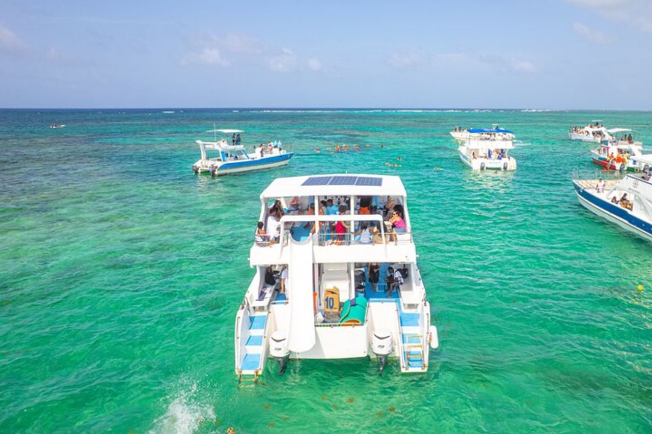 Snorkeling in barca privata e nuotata con squali e razze — 2