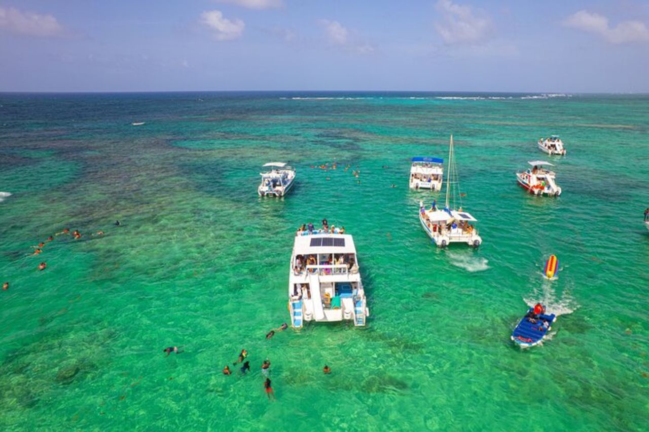 Snorkeling in barca privata e nuotata con squali e razze