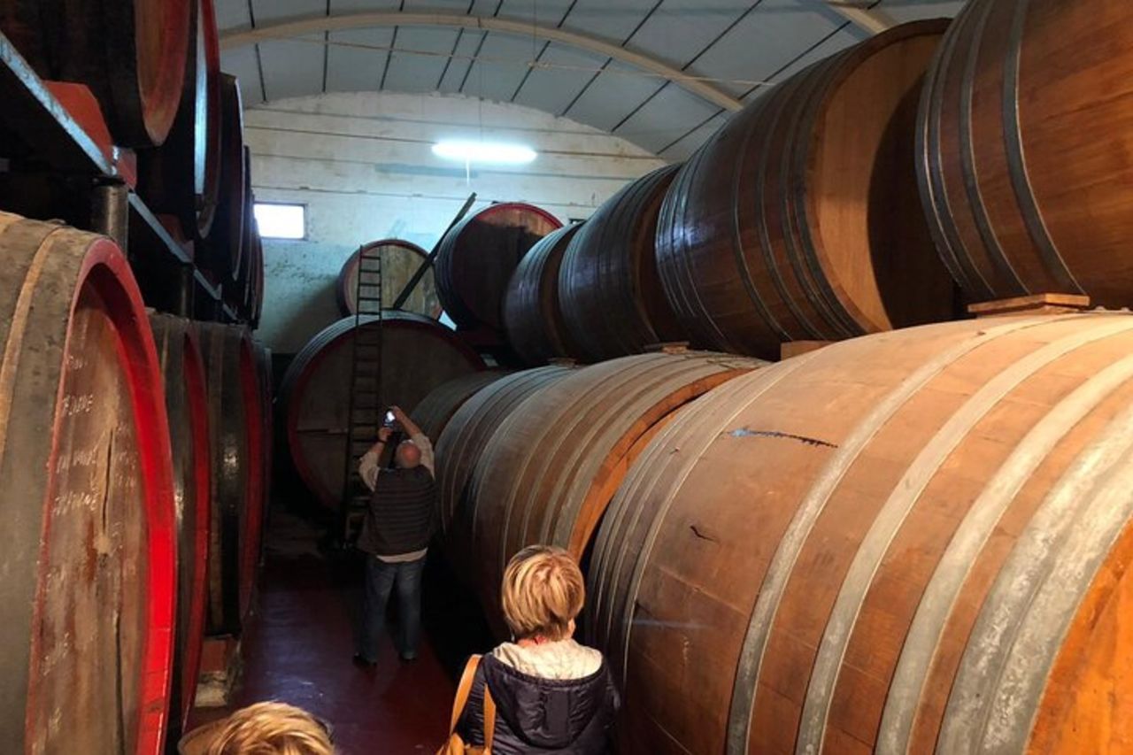 Visita alla cantina storica con degustazione di cibo e vino a Marsala