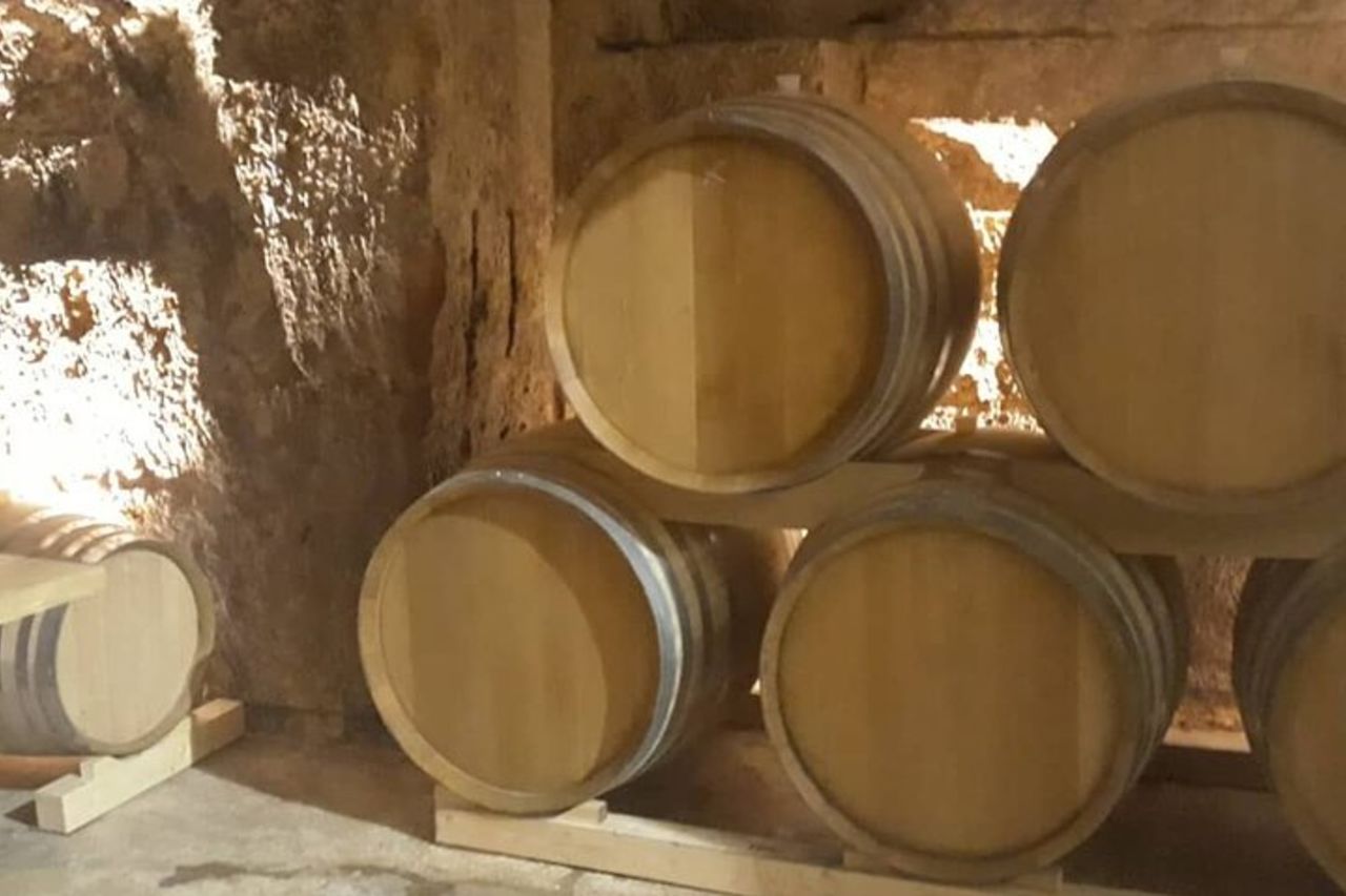 Visita alla cantina storica con degustazione di cibo e vino a Marsala — 4