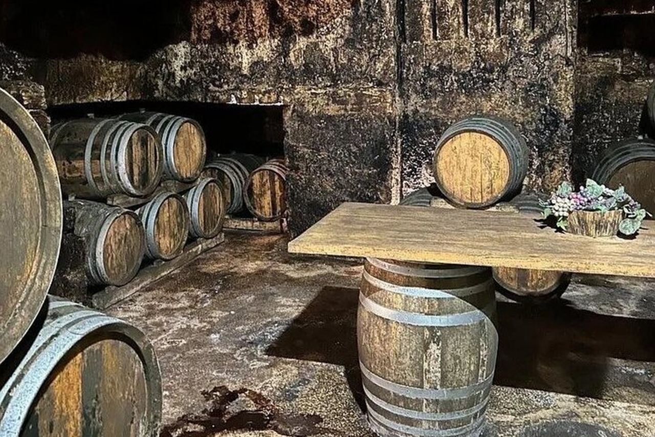 Visita alla cantina storica con degustazione di cibo e vino a Marsala — 7