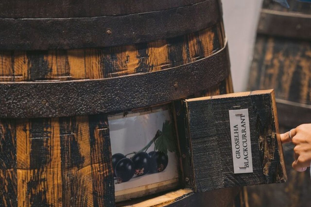 Porto: Taylor's Port Cellars Visit & degustazione di vino di Porto — 6