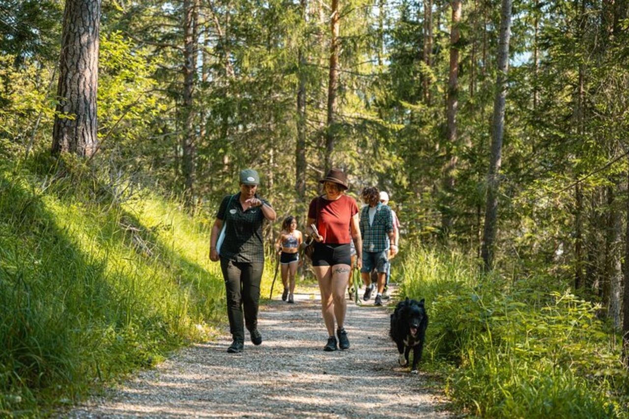 Safari per conoscere le erbe spontanee a San Vigilio — 5