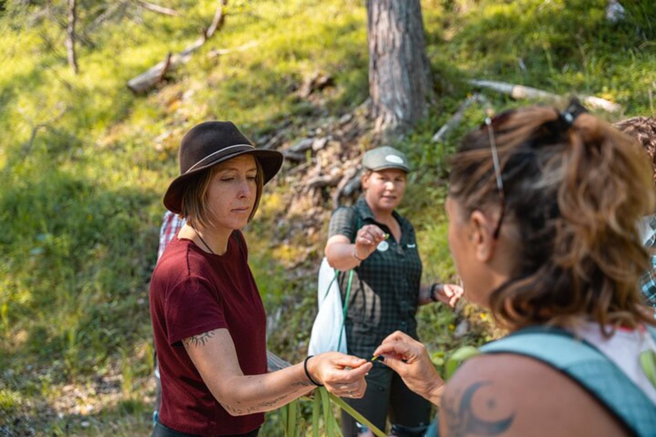 Safari per conoscere le erbe spontanee a San Vigilio — 6