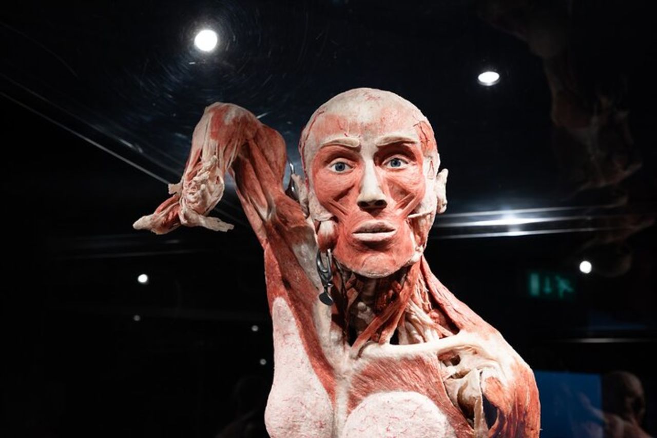 Body Worlds Amsterdam Biglietto d'ingresso — 8