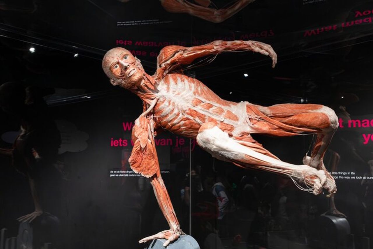 Body Worlds Amsterdam Biglietto d'ingresso — 9