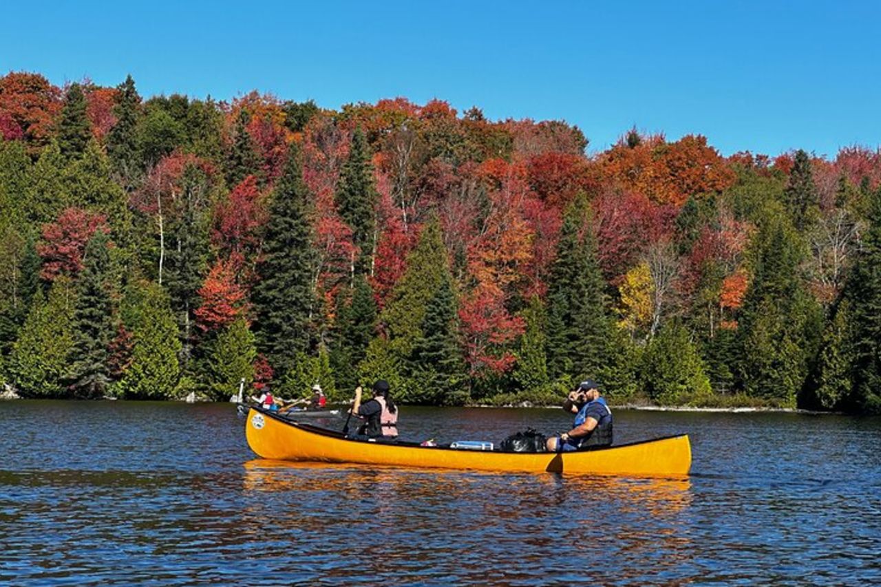 Algonquin Park 3 - Avventura in campeggio e canoa Deluxe — 2