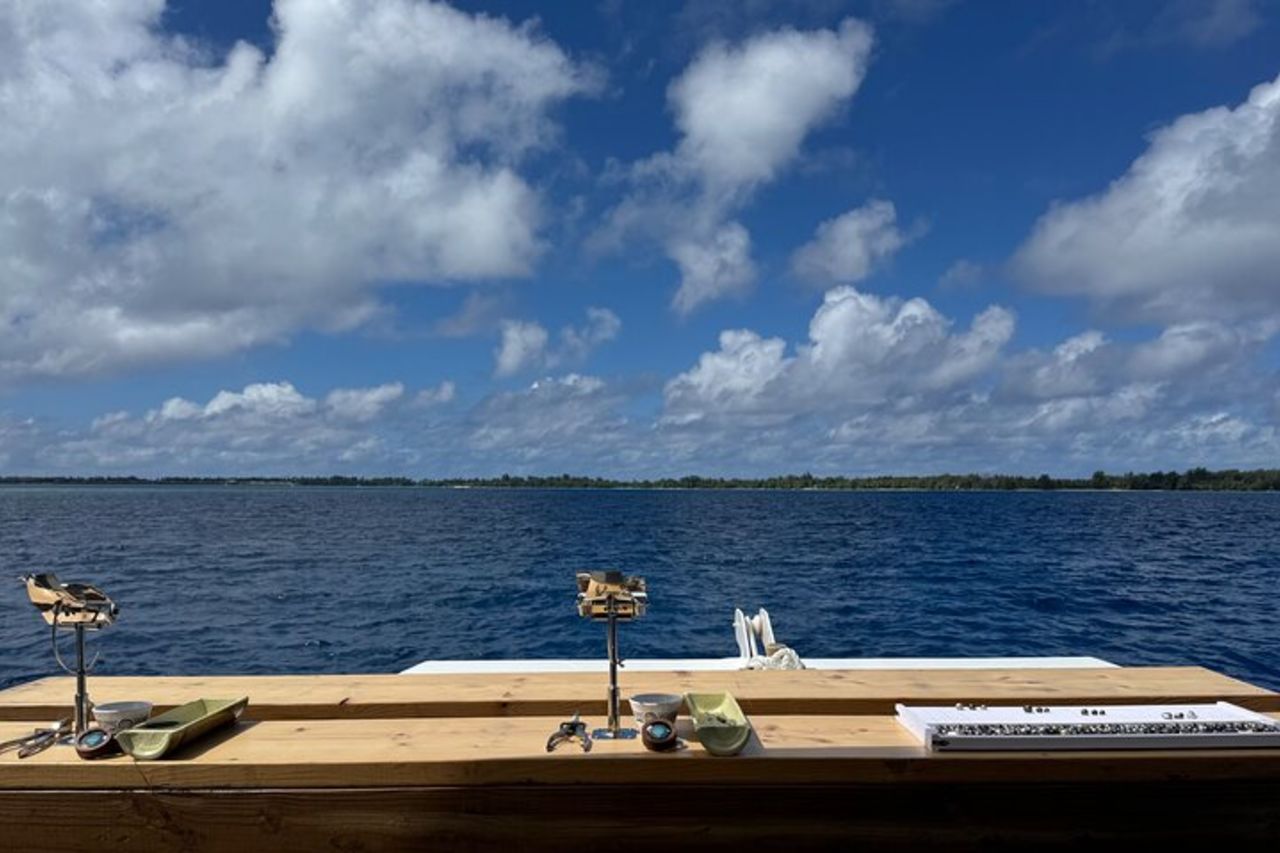 Snorkeling con le razze di squali e scoperta della perla nera a Bora Bora — 9