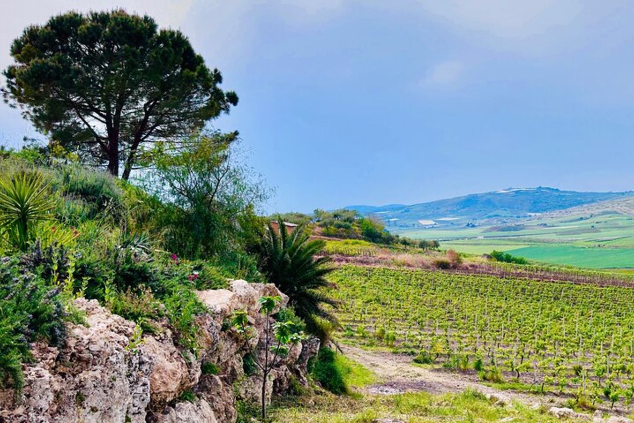 VILLA ROMANA in PIAZZA ARMERINA e CANTINA - Tour da Agrigento — 8