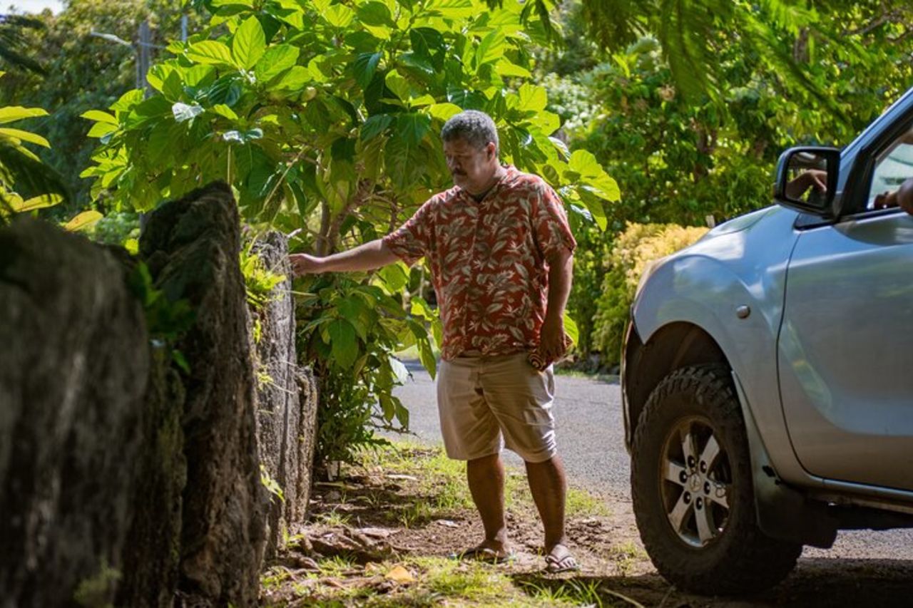 Bora Bora : tour guidato di mezza giornata sull'isola in 4WD — 8