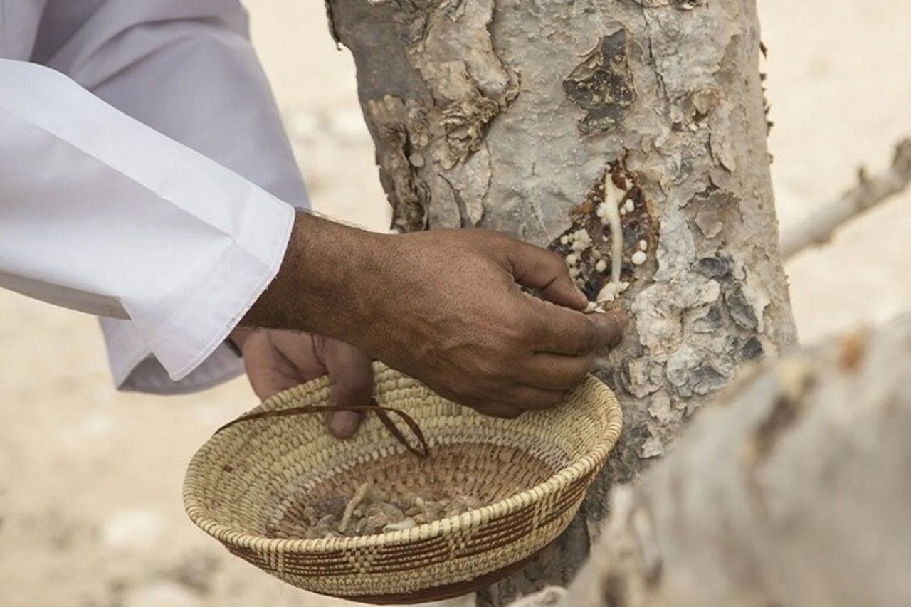 Safari al tramonto di Rub al Khali: tour privato in 4WD — 7