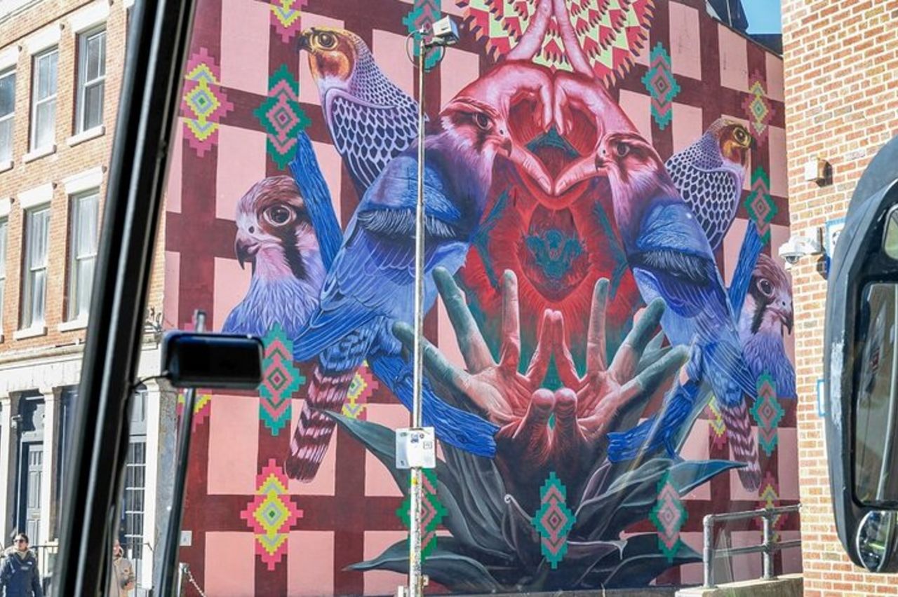 Tour di New York: Bronx, Brooklyn, Harlem, Queens & Coney — 4