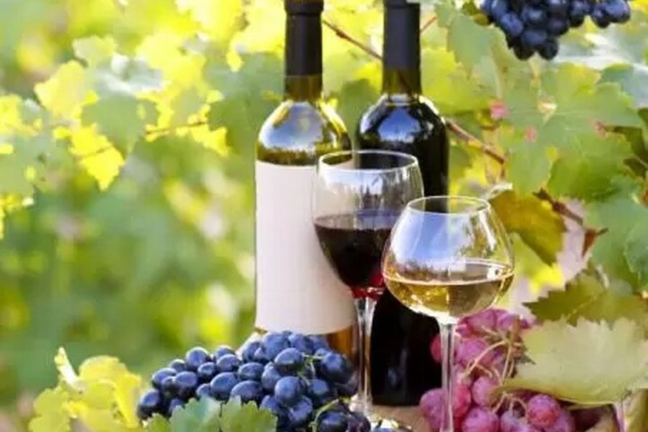 Esperienza Italiana perfetta : Corso di cucina - Wine Tour — 3