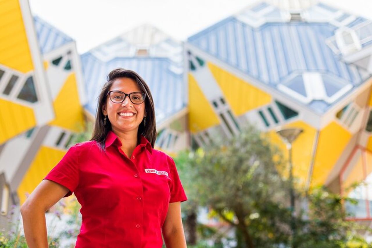 Gita di un giorno a Rotterdam, Delft e L'Aia da Amsterdam