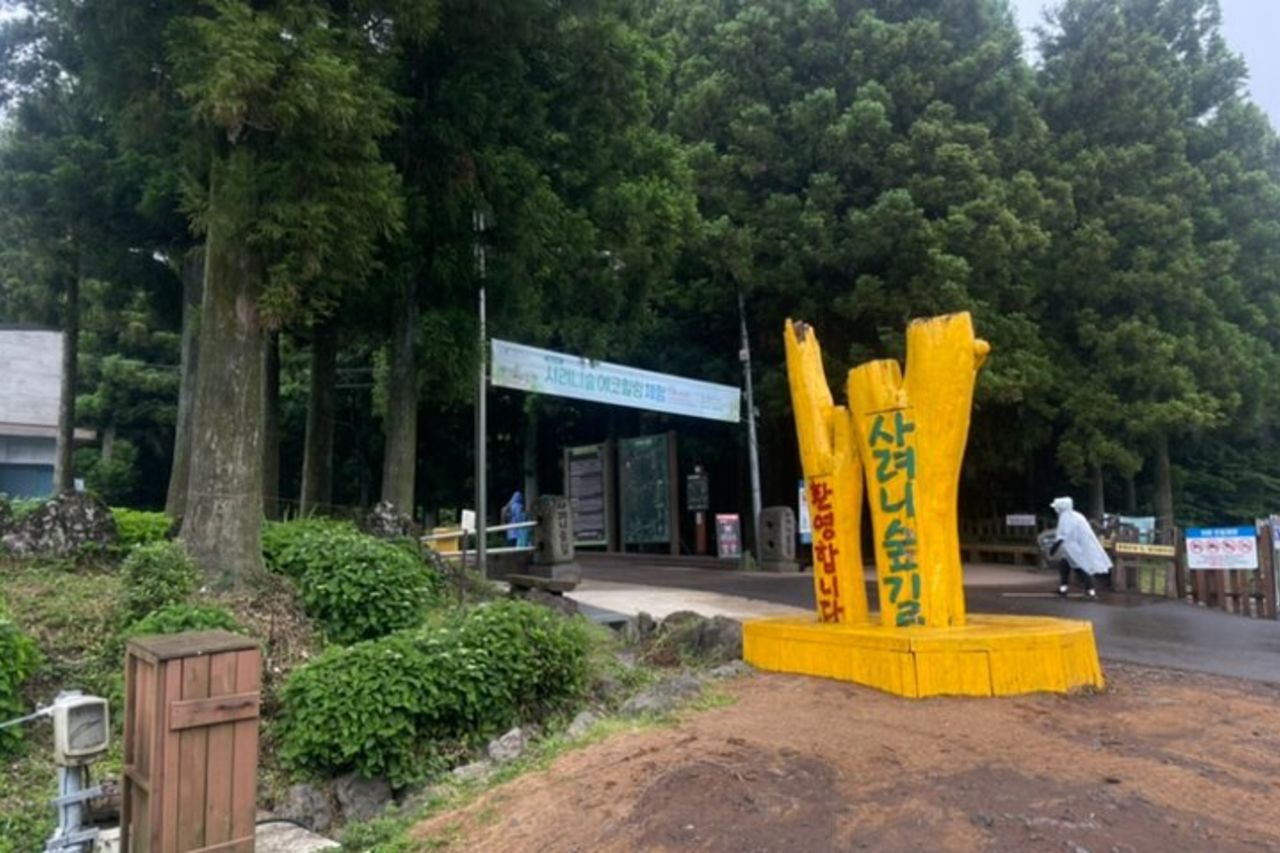 Ultimate Jeju Day Tour : UNESCO & Da non perdere (Est/Sud-Ovest) — 4