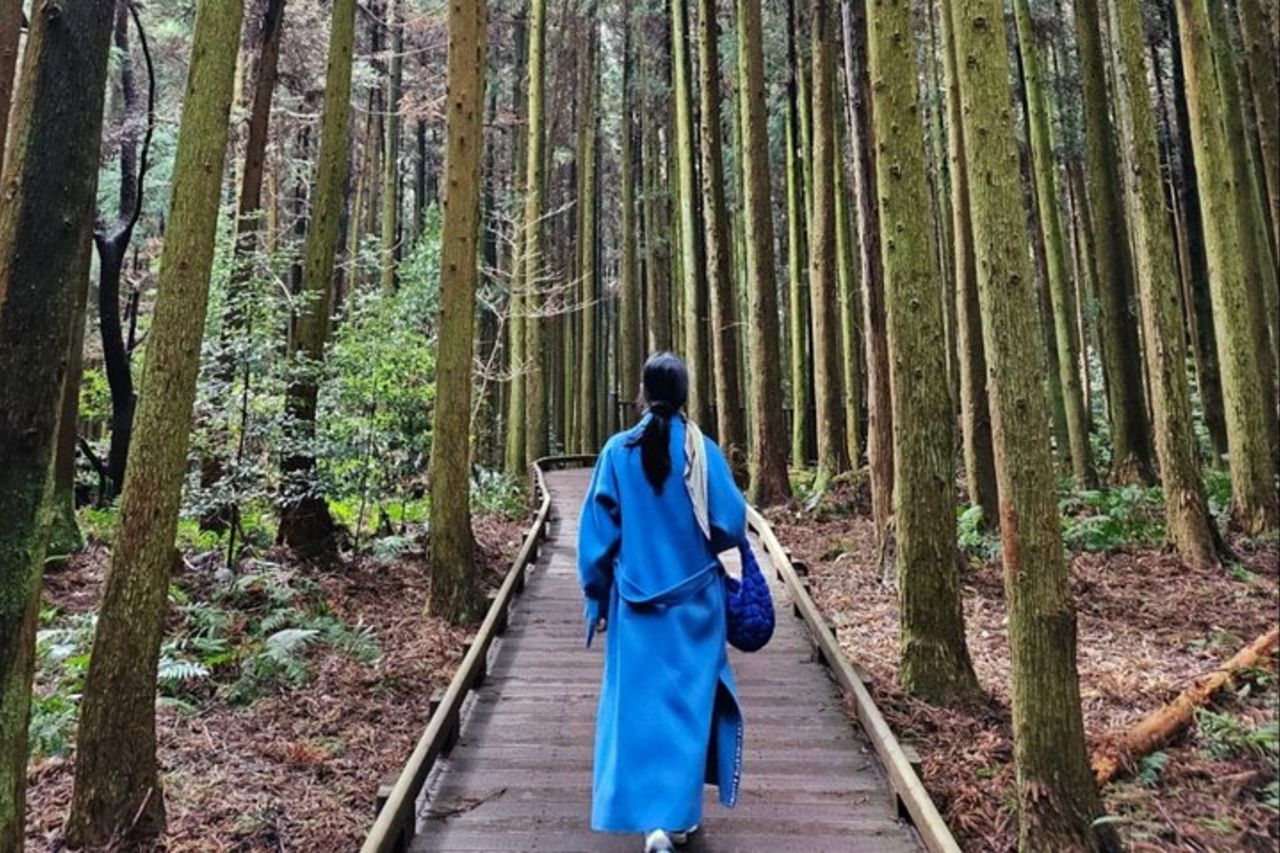 Ultimate Jeju Day Tour : UNESCO & Da non perdere (Est/Sud-Ovest) — 5