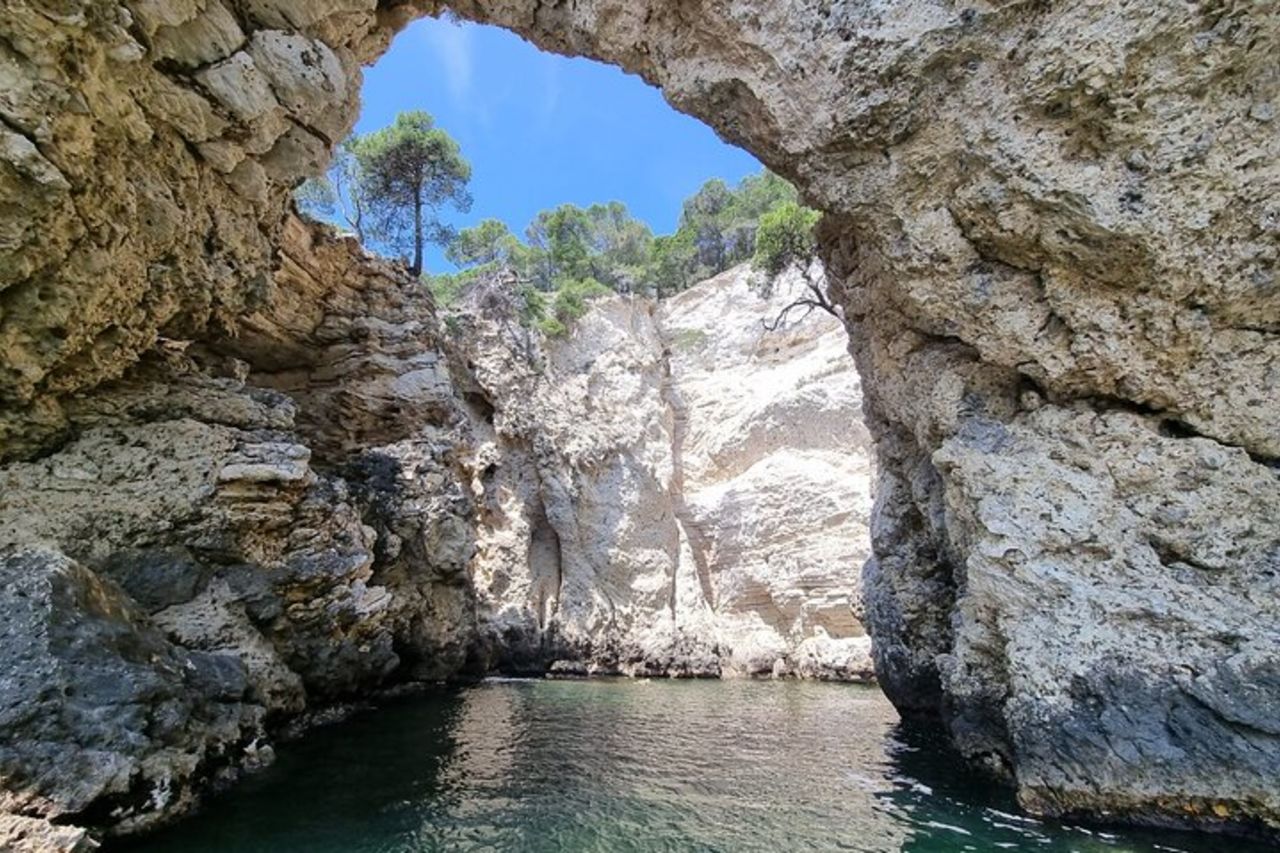 Tour in barca a Vieste condivisa con sosta bagno — 3