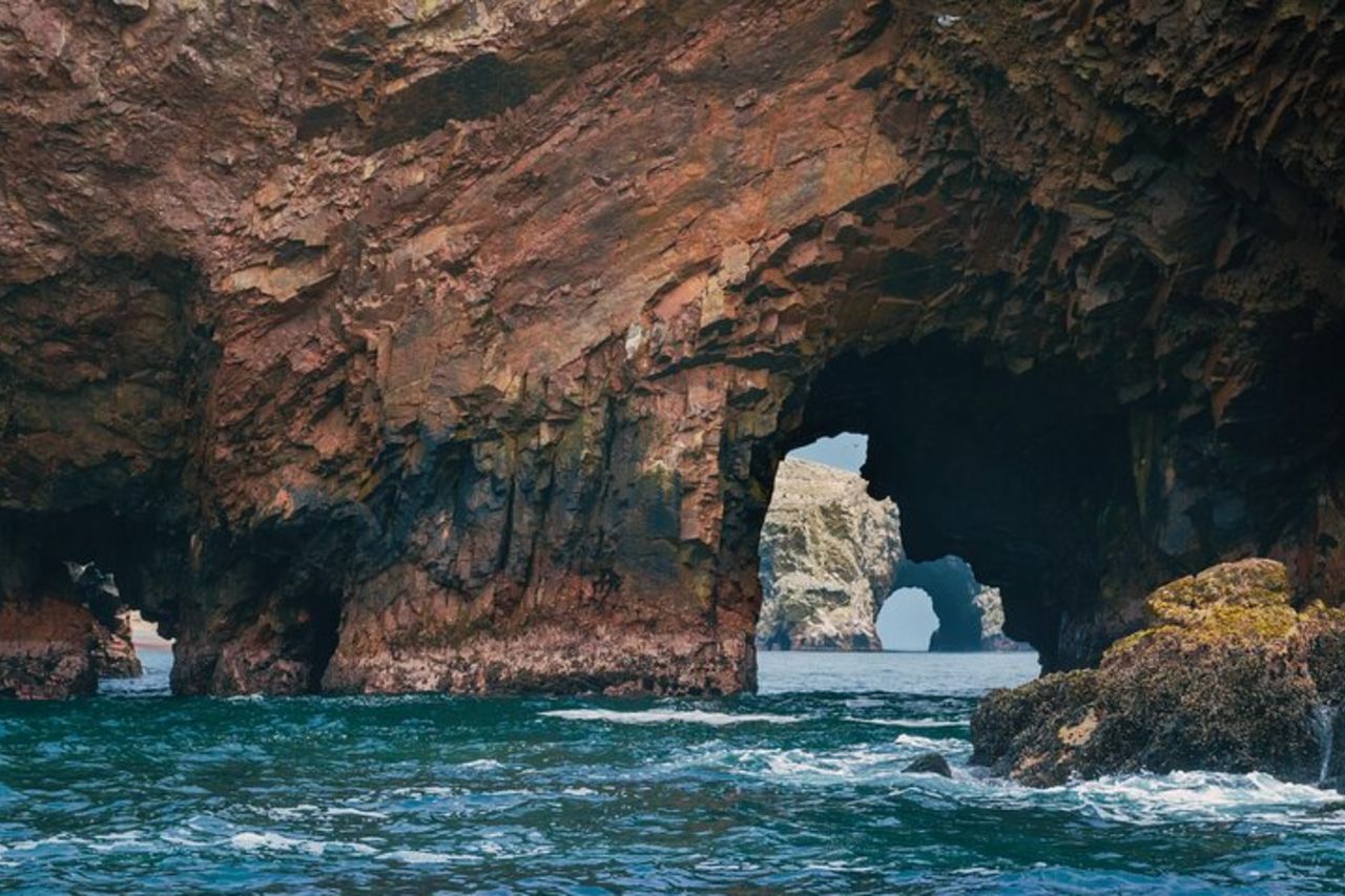 Tra isole, dune e vigneti: una giornata a Paracas, Ica, TUTTO COMPRESO — 6