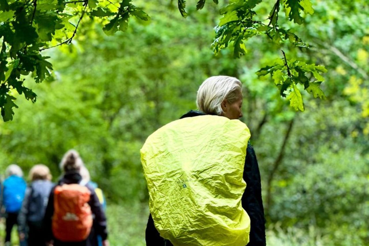 Escursione nel Parco Nazionale di Gerês con una guida locale