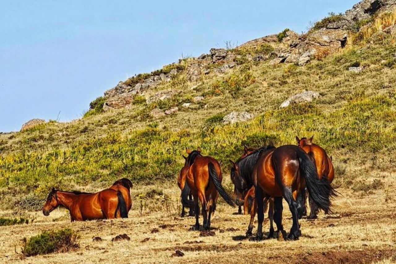 Escursione nel Parco Nazionale di Gerês con una guida locale — 3