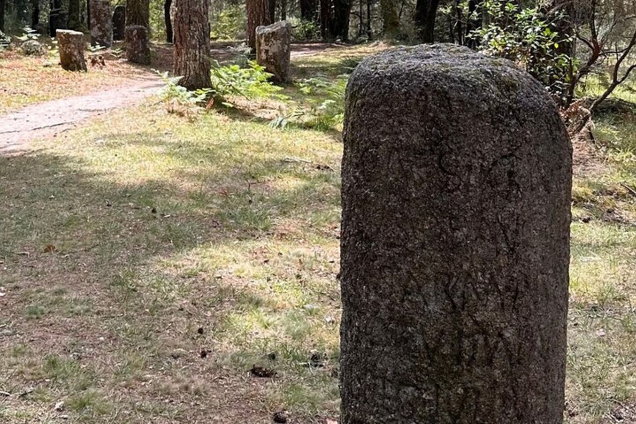 Escursione nel Parco Nazionale di Gerês con una guida locale — 8