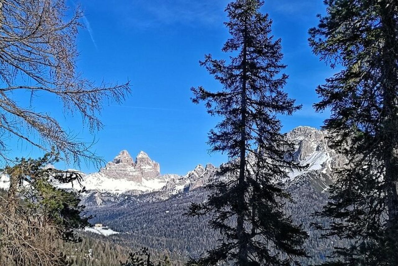 Escursione Guidata Privata sulla neve a Cortina — 4