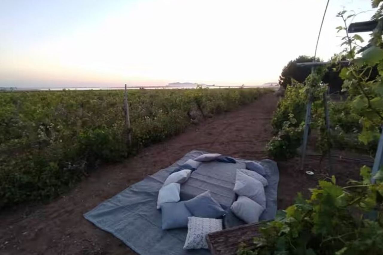 Picnic al tramonto tra i vigneti a Marsala — 2