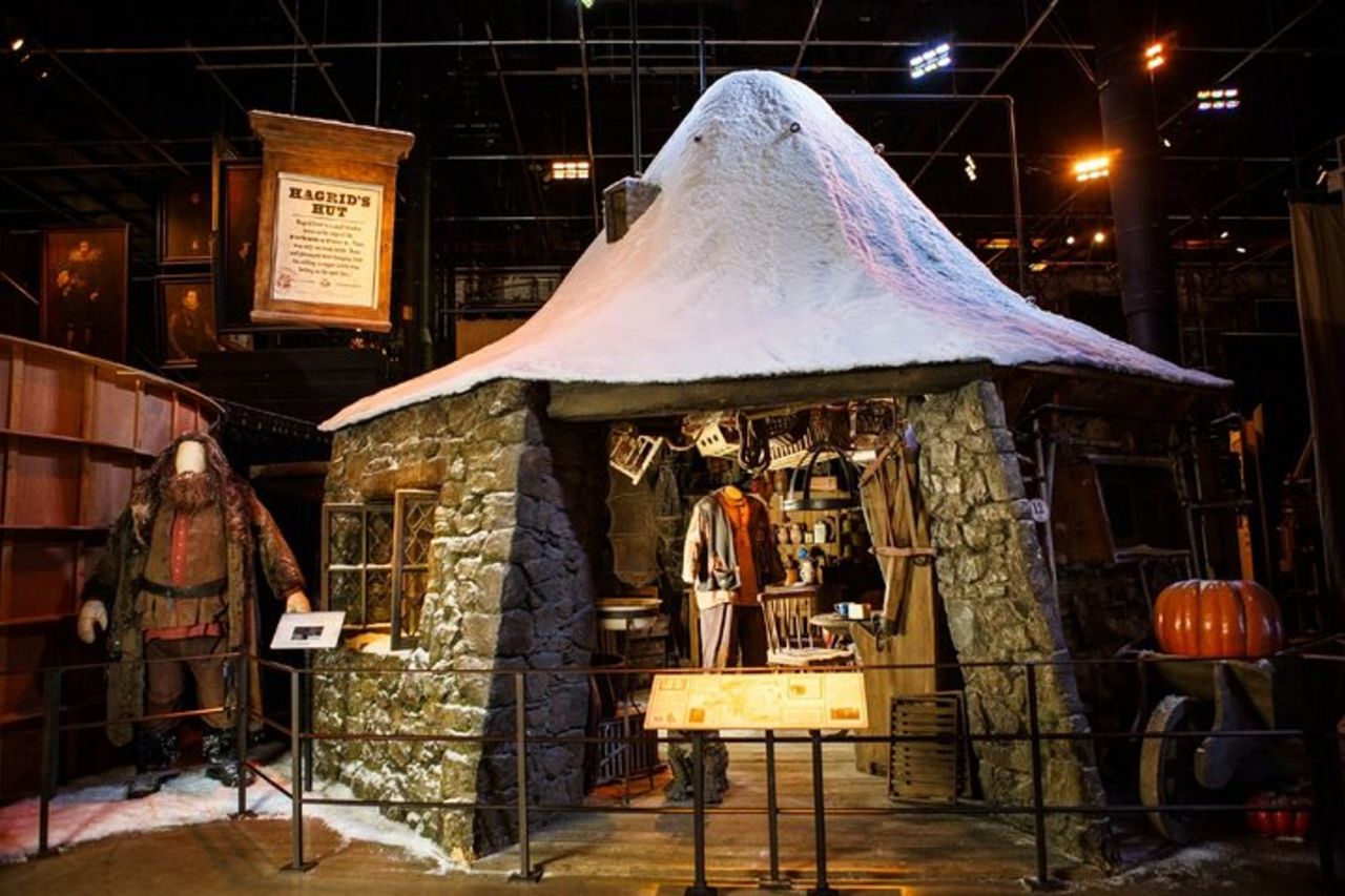 Warner Bros. Studio Tour con trasporto da Londra — 8