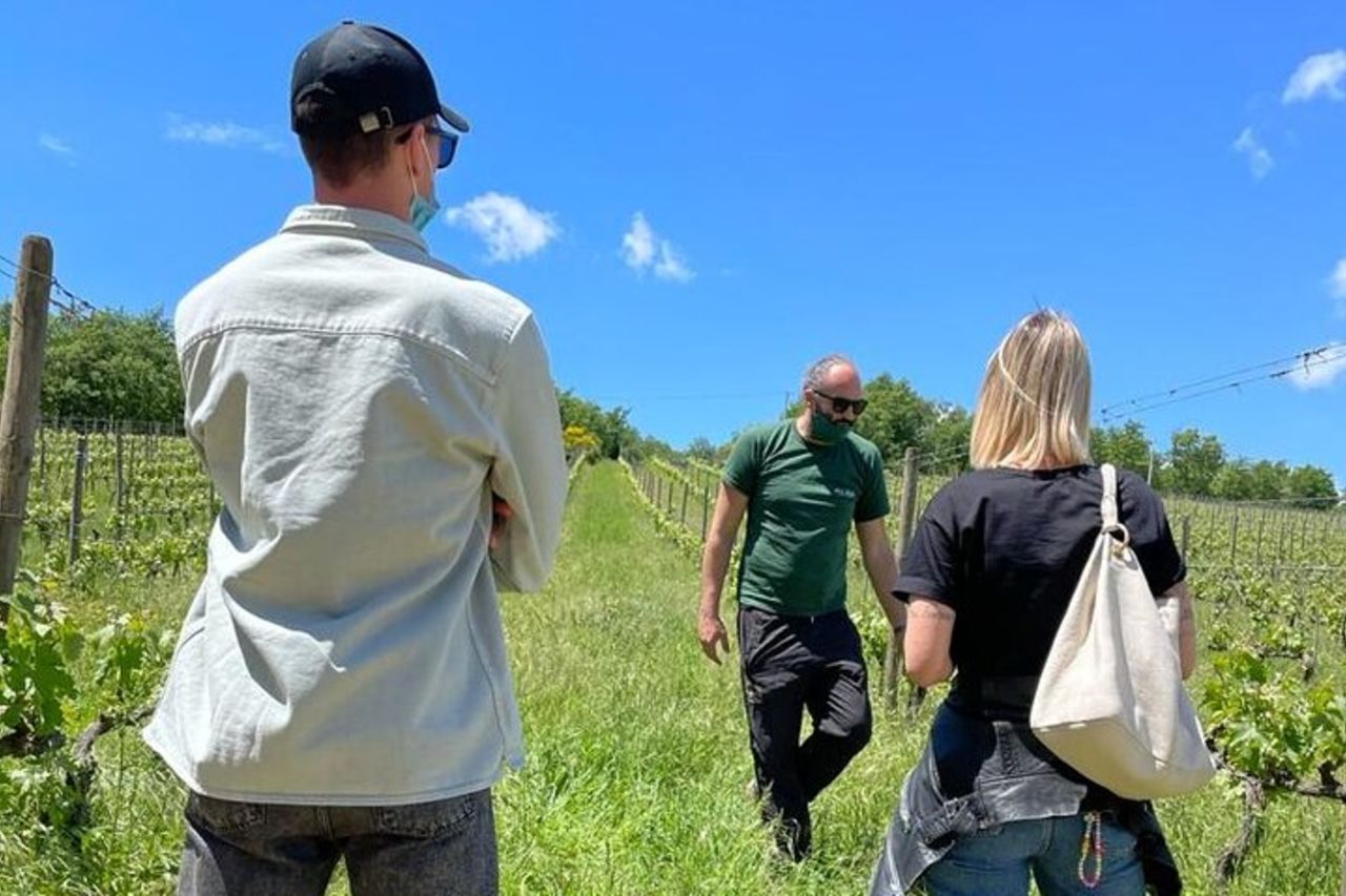 San Gimignano, Chianti e Montalcino gita di un giorno da Siena — 7