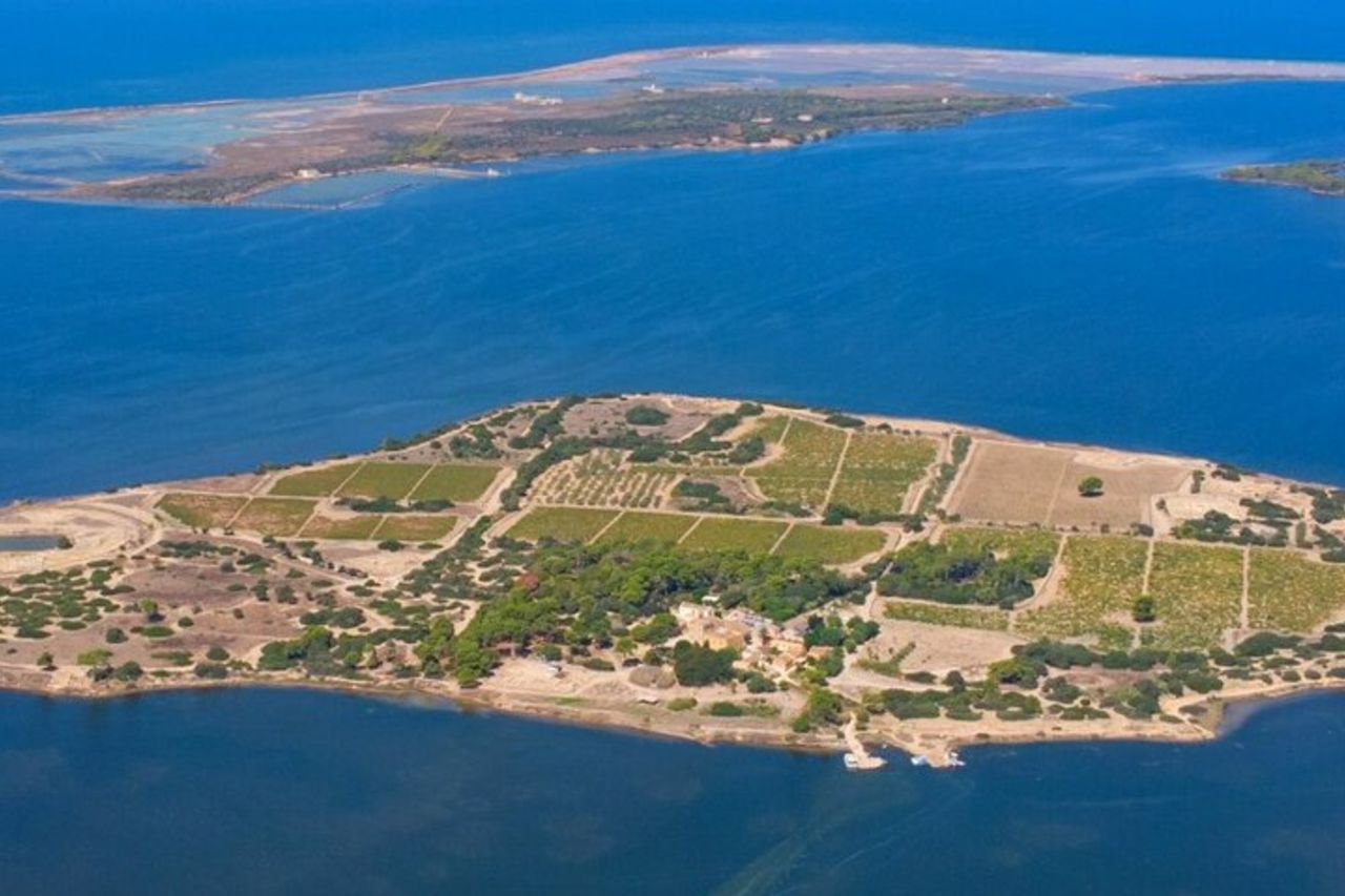 Tour di un'intera giornata Erice, Cantina Florio, Saline di Marsala, Mozia — 8