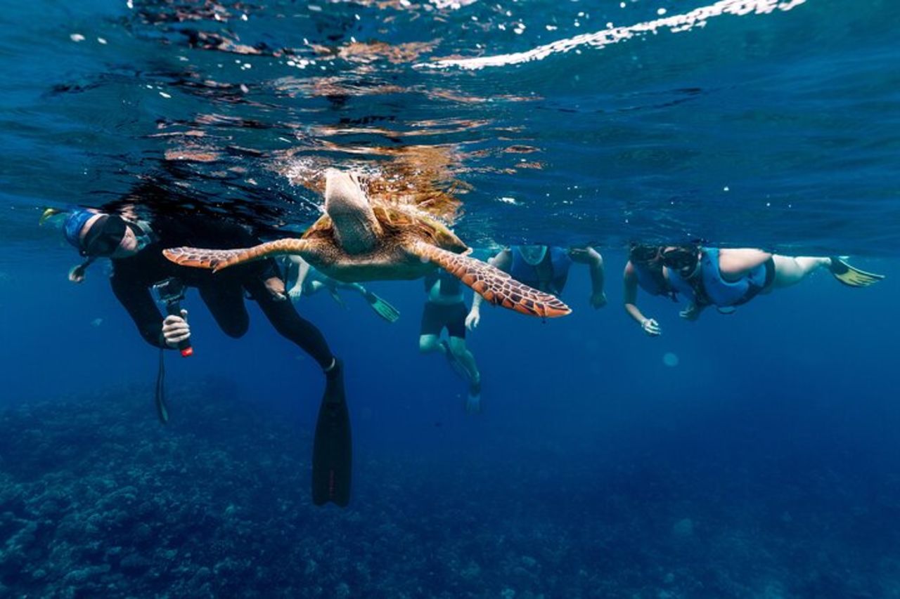 Tour di snorkeling condiviso a Tahiti — 9