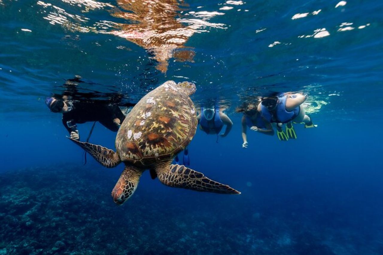 Tour di snorkeling condiviso a Tahiti — 4